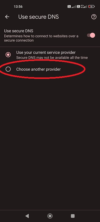 cmd google dns